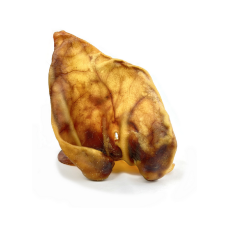 Oreille de porc XL