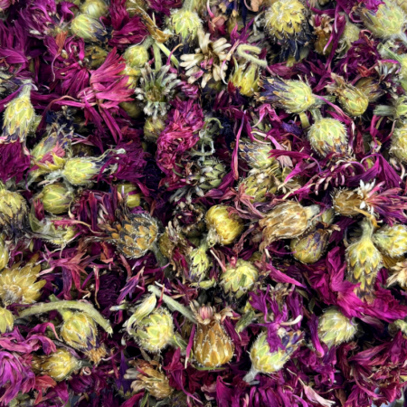 Fleurs de bleuets rouge