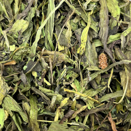 Feuilles de plantain