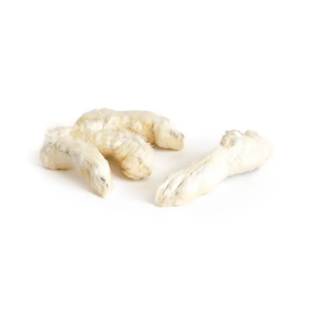 Pattes de lapin avec poils