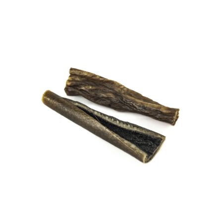 Peau de sanglier 15cm