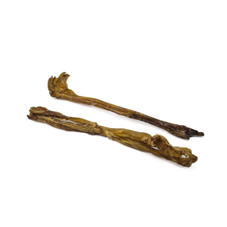 Tendon d'Achille de buffle